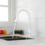 ZNTS Kitchen Faucet with Pull Out Spraye TH2806W