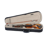 ZNTS New 3/4 Acoustic Violin Case Bow Rosin Natural 19196091