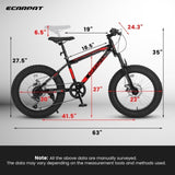 ZNTS S20109 Ecarpat 20 Inch Kids Bike, 4" Inch Fat Tire Mountain Bike for Ages 8-12 Boys Girls, 7 Speed W2233142112