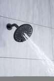 ZNTS 6 In. Detachable Handheld Shower Head Shower Faucet Shower System D92202H-6