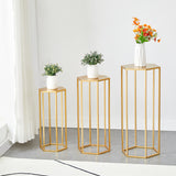 ZNTS 27.55" High Set of 3 Metal Plant Stand Gold Nesting Display End Table High Hexagon Rack Indoor 39857176
