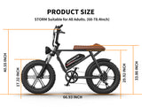 ZNTS AOSTIRMOTOR new pattern Electric Bicycle 750W Motor 20" Fat Tire With 48V 13AH Li-Battery W115581374