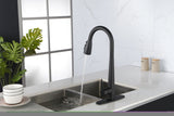 ZNTS Kitchen Faucet with Pull Down Sprayer , High Arc Single Handle Kitchen Sink Faucet with Deck Plate, W92851732