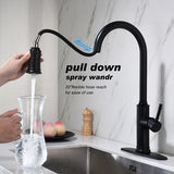 ZNTS Kitchen Faucet with Pull Out Spraye 66599224