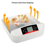 ZNTS 56-Egg Practical Fully Automatic Poultry Incubator with Egg Candler White 56859107