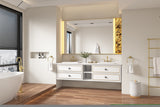 ZNTS 84*23*21in Wall Hung Doulble Sink Bath Vanity Cabinet Only in Bathroom Vanities without Tops W1272109644