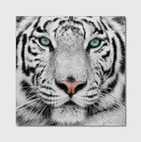 ZNTS Oppidan Home "Snow Tiger" Acrylic Wall Art B03050778