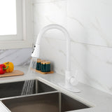 ZNTS Kitchen Faucet with Pull Out Spraye TH2806W