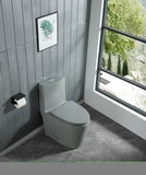 ZNTS 15 5/8 Inch 1.1/1.6 GPF Dual Flush 1-Piece Elongated Toilet with Soft-Close Seat - Light Grey W1573101060