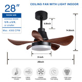 ZNTS 28 lnch Ceiling Fan with Lights Remote Control, Small Ceiling Fan Flush Mount, 5 Reversible Blades, W1187118716
