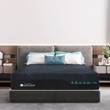 ZNTS Presidential Lux Twin XL, 14" Silkfoam Technology, Charcoal Memory Foam with Ice Feel Cooling B076103055