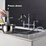 ZNTS Kitchen sink faucet with pull-out side spray, modern and chic bridge shaped double handle rotary 92093411