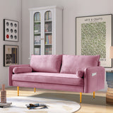 ZNTS Velvet Fabric sofa with pocket-71‘’pink 04076839