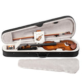 ZNTS GV103 4/4 Spruce Panel Violin Matte Natural 56821192