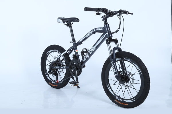 ZNTS Kids RAINIER MODEL 20"STEEL MTB Bike Black/White B00825974