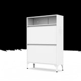 ZNTS Metal Shoe Cabinet with 2 Flip Drawers,Free Standing Storage Racks with Metal Legs and Adjustable W1666103118
