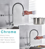 ZNTS Single Handle Pull Down Sprayer Kitchen Sink Faucet W153367664