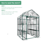 ZNTS Green House 56" W x 56" D x 76" H,Walk in Outdoor Plant Gardening Greenhouse 2 Tiers 8 Shelves 83499247
