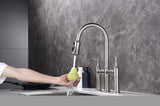 ZNTS Bridge Kitchen Faucet with Pull-Down Sprayhead in Spot W92850255