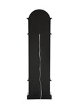 ZNTS ACME Noralie GRANDFATHER CLOCK W/LED Mirrored & Faux Diamonds AC00352