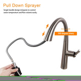 ZNTS Kitchen Faucet with Pull Out Spraye,Brushed Nickel W124372167