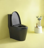 ZNTS 15 5/8 Inch 1.1/1.6 GPF Dual Flush 1-Piece Elongated Toilet with Soft-Close Seat - Matte Black W1573101059