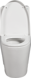 ZNTS 1.1/1.6 GPF Dual Flush 1-Piece Elongated Toilet with Soft-Close Seat - Gloss White, Water-Saving, W1573101058