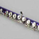 ZNTS Cupronickel C 16 Closed Holes Concert Band Flute Purple 93412318