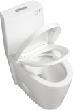 ZNTS 1.1/1.6 GPF Dual Flush 1-Piece Elongated Toilet with Soft-Close Seat - Gloss White, Water-Saving, W1573101058