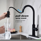 ZNTS Kitchen Faucet with Pull Out Spraye W127263122