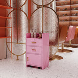 ZNTS Locking Beauty Salon Storage Cabinet Hair Dryer Holder Stylist Equipment Drawer W33163017