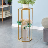 ZNTS 27.55" High Set of 3 Metal Plant Stand Gold Nesting Display End Table High Hexagon Rack Indoor 39857176