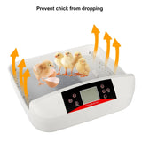 ZNTS 42-Egg Practical Fully Automatic Poultry Incubator with Egg Candler US Standard Yellow & & White & 74420450