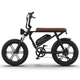 ZNTS AOSTIRMOTOR new pattern Electric Bicycle 750W Motor 20