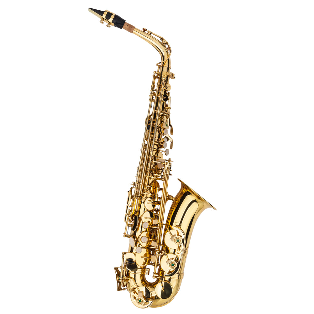 ZNTS Alto Drop E Paint Gold Saxophone Paint Gold 25180517