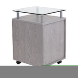 ZNTS Techni Mobili Rolling File Cabinet with Glass Top, Grey RTA-S06-GRY